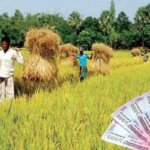 কৃষি উদ্যোক্তাদের ৫০লাখ টাকা পর্যন্ত ঋণ